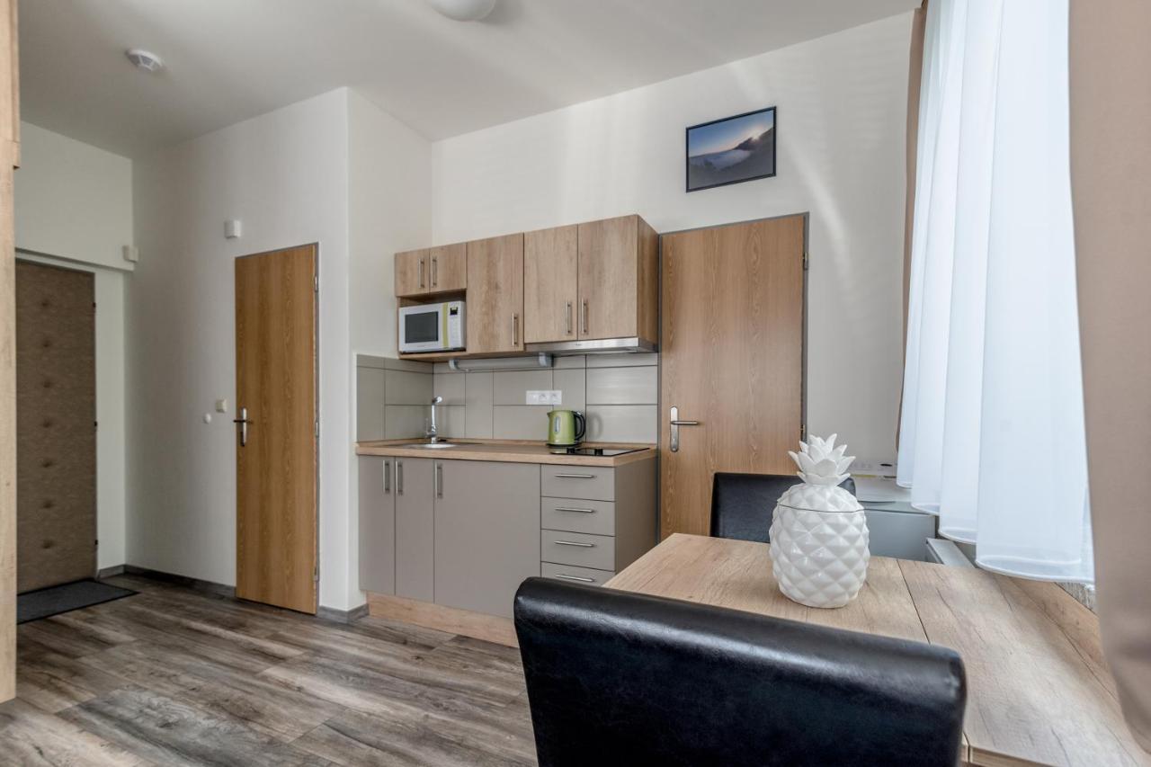 Modern Fully Equipped With Parking Zavadilka 2620 Apartment Ceske Budejovice